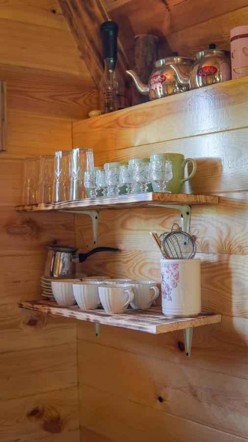 ŽabljakMountain House Drveni Raj别墅 外观 照片