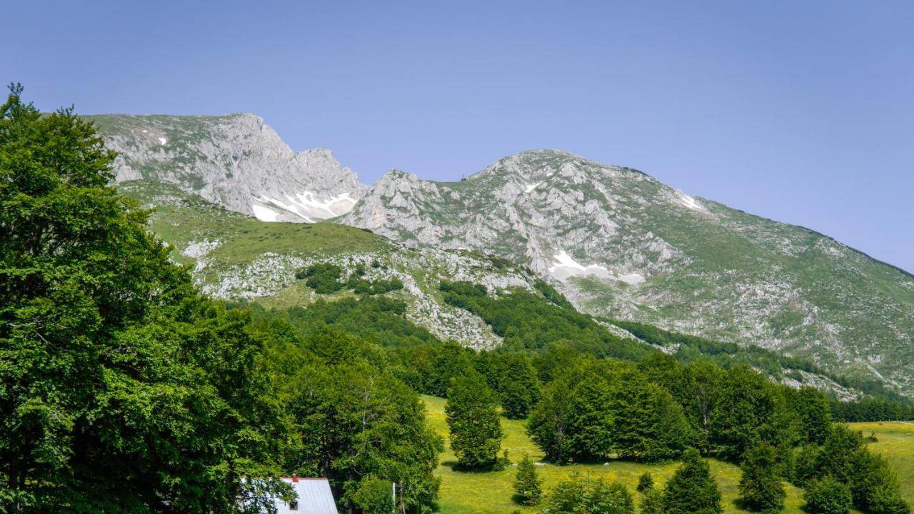 ŽabljakMountain House Drveni Raj别墅 外观 照片