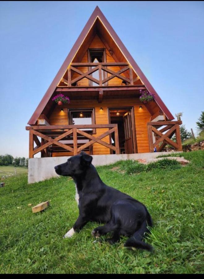 ŽabljakMountain House Drveni Raj别墅 外观 照片
