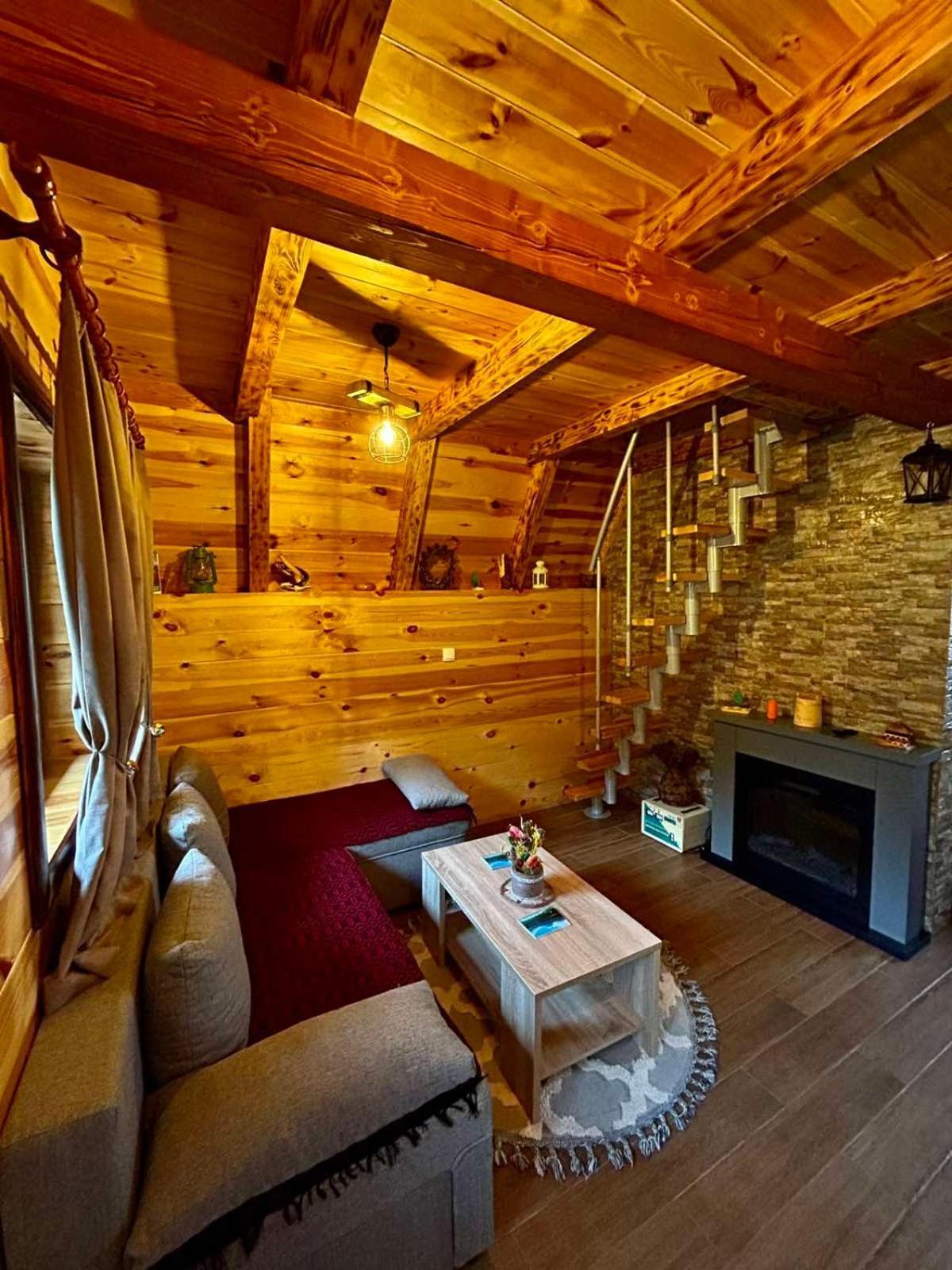 ŽabljakMountain House Drveni Raj别墅 外观 照片
