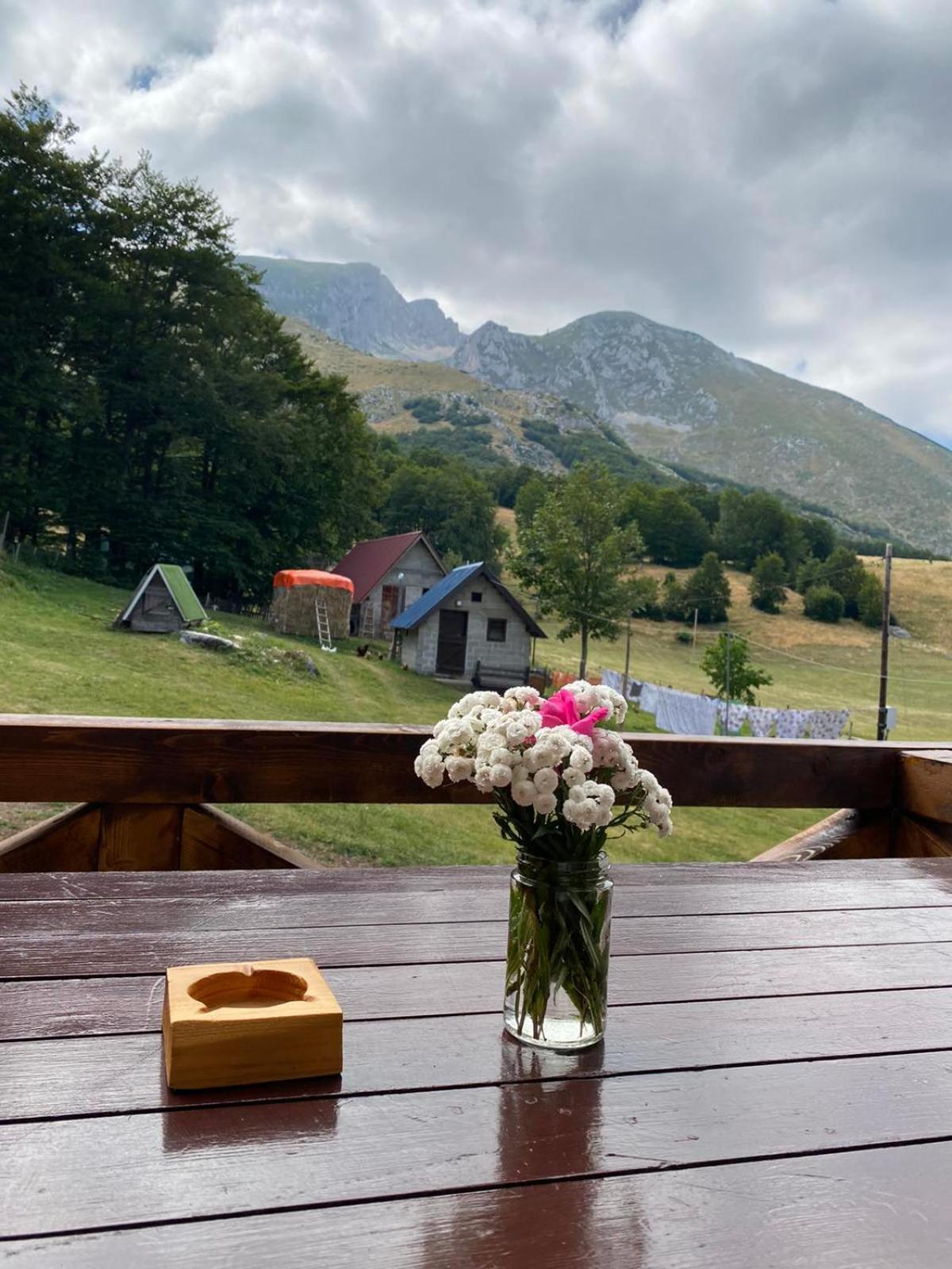 ŽabljakMountain House Drveni Raj别墅 外观 照片