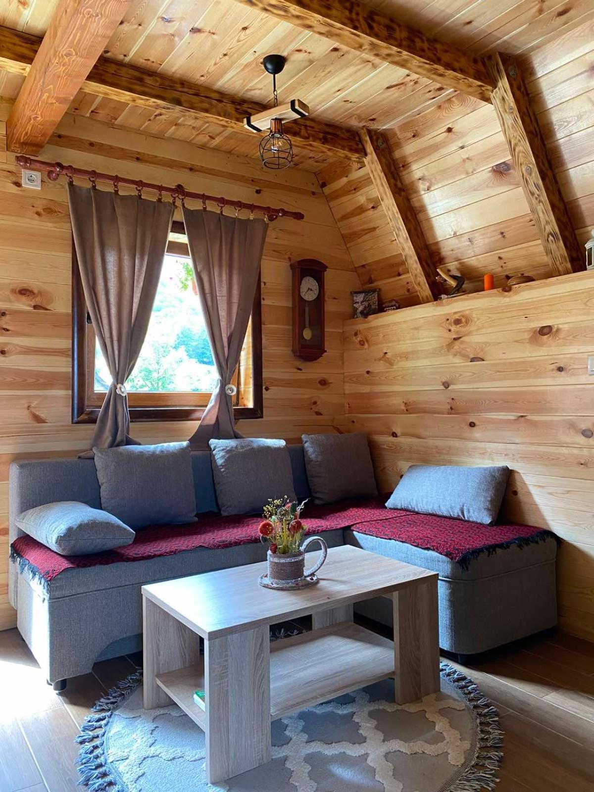 ŽabljakMountain House Drveni Raj别墅 外观 照片