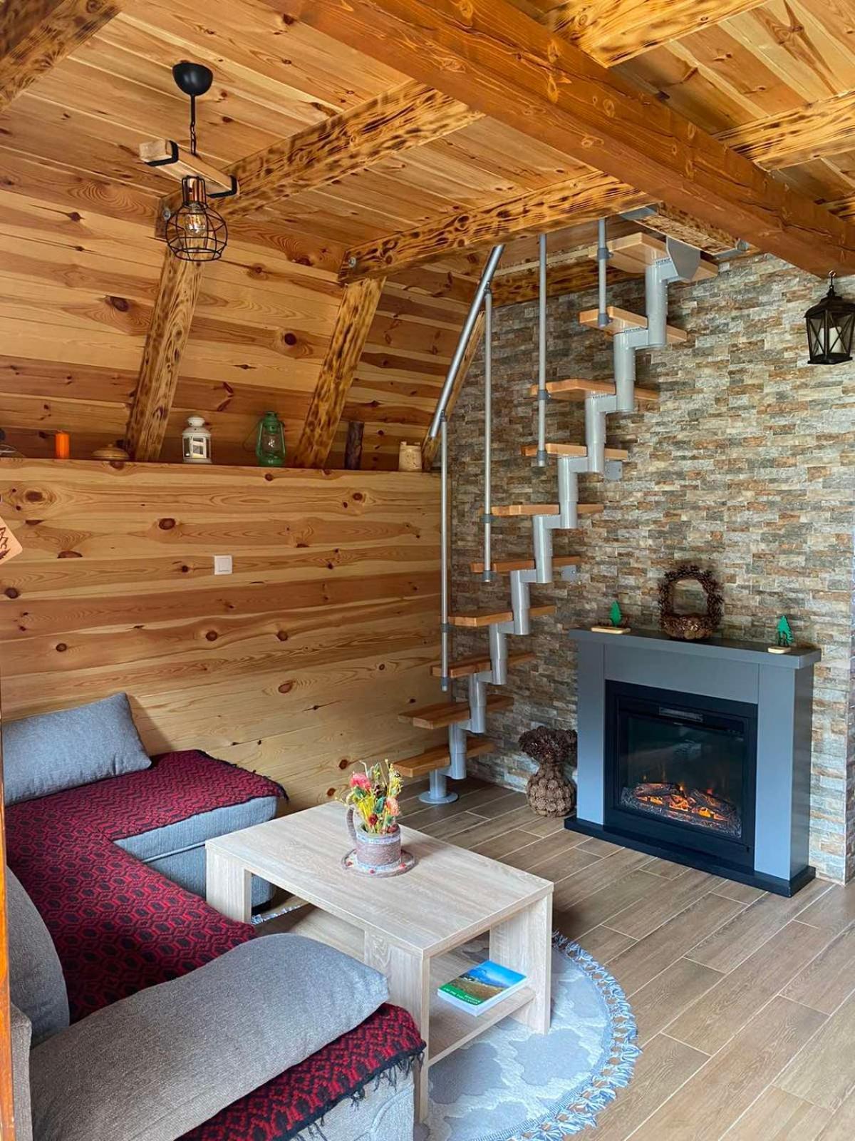ŽabljakMountain House Drveni Raj别墅 外观 照片