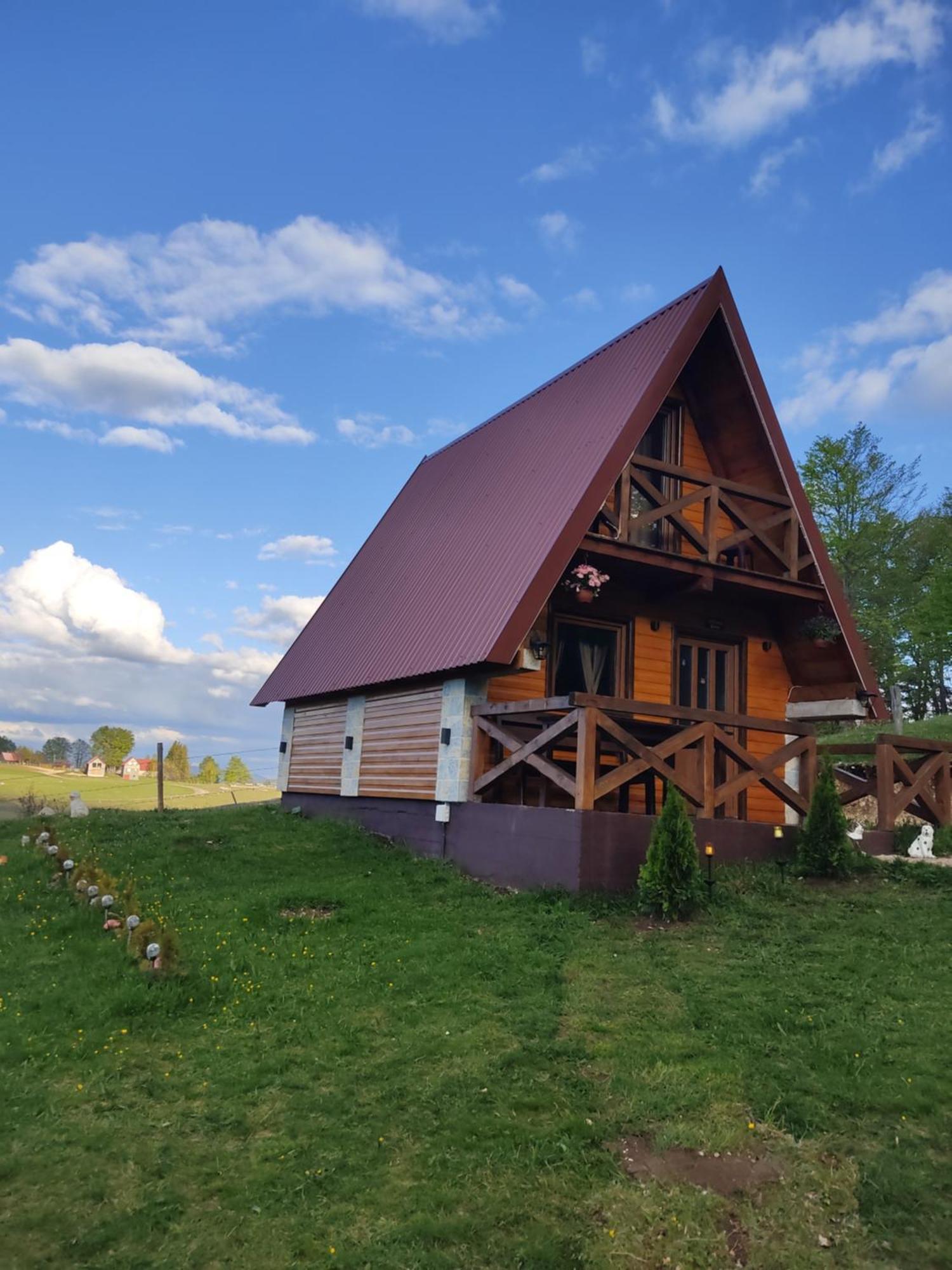 ŽabljakMountain House Drveni Raj别墅 外观 照片