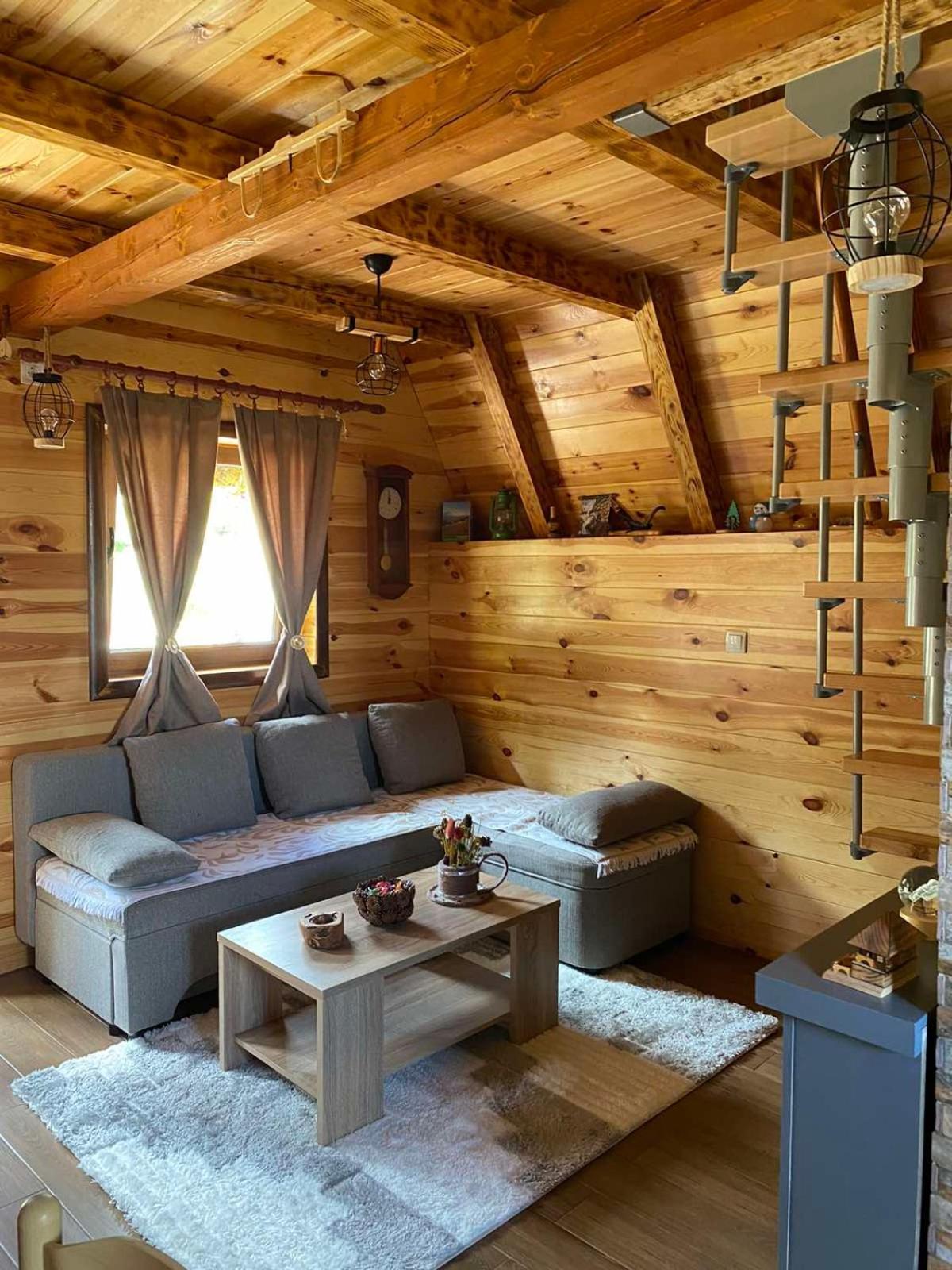 ŽabljakMountain House Drveni Raj别墅 外观 照片